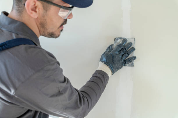 Trusted Philippi, WV Mold Removal Experts