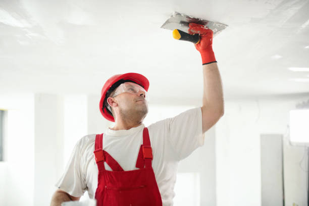 Best Dehumidification Services  in Philippi, WV